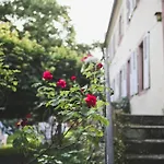 Gaestehaus Schloss Janson イン *