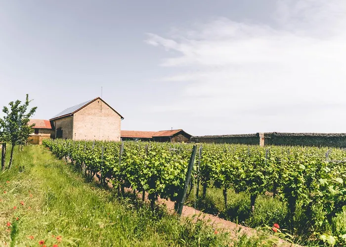 Estalagem Gaestehaus Schloss Janson Worms